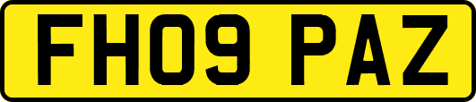 FH09PAZ