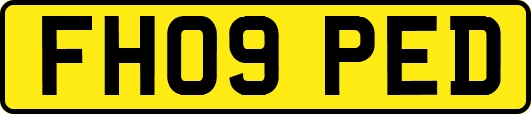 FH09PED