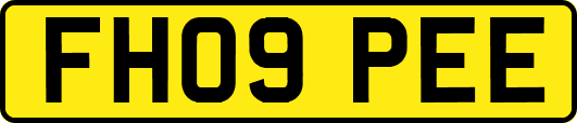 FH09PEE