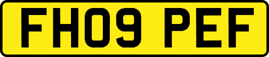 FH09PEF
