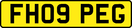 FH09PEG