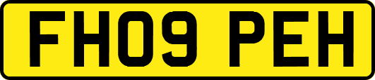 FH09PEH