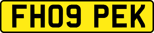FH09PEK