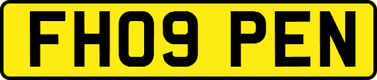 FH09PEN
