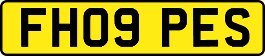 FH09PES