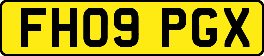 FH09PGX