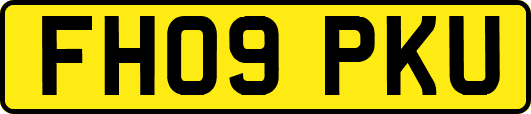 FH09PKU