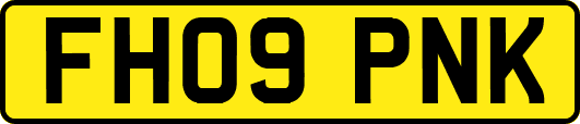 FH09PNK