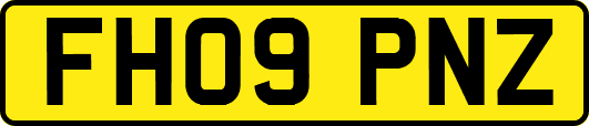 FH09PNZ