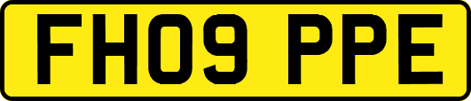 FH09PPE