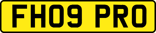 FH09PRO