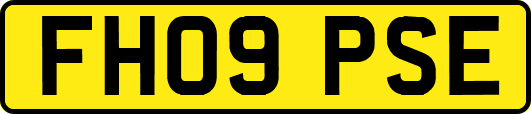 FH09PSE