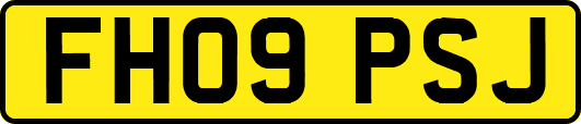 FH09PSJ