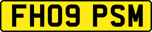 FH09PSM
