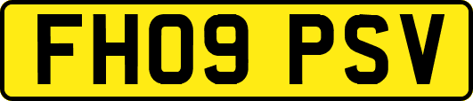 FH09PSV