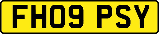 FH09PSY