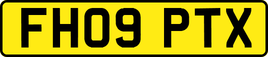 FH09PTX