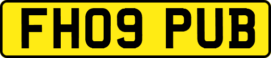 FH09PUB