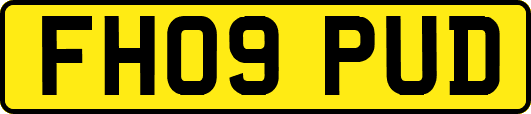 FH09PUD