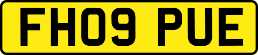 FH09PUE