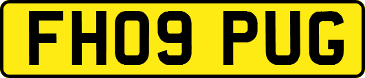 FH09PUG