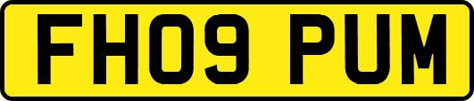 FH09PUM