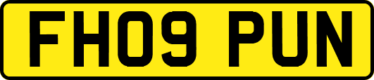 FH09PUN