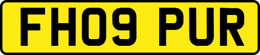 FH09PUR