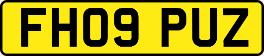 FH09PUZ