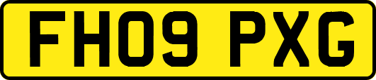 FH09PXG