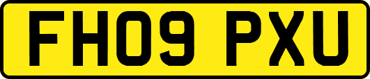 FH09PXU