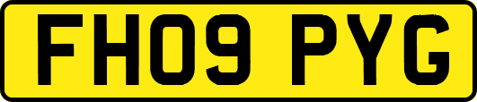 FH09PYG
