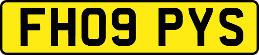 FH09PYS