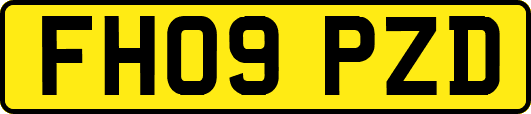 FH09PZD