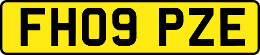FH09PZE