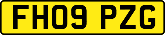 FH09PZG