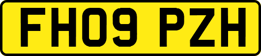 FH09PZH