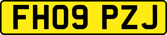 FH09PZJ