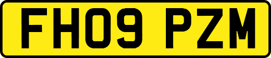 FH09PZM