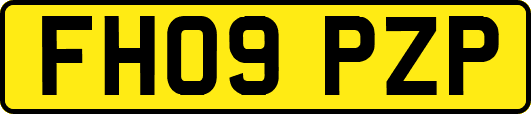 FH09PZP