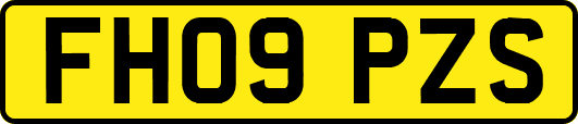 FH09PZS