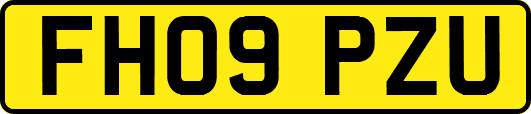 FH09PZU