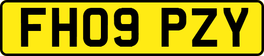 FH09PZY
