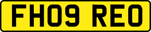 FH09REO