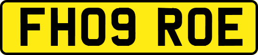 FH09ROE