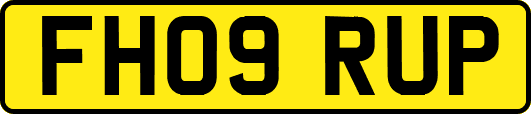 FH09RUP