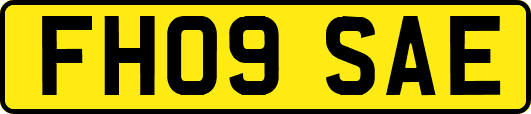 FH09SAE