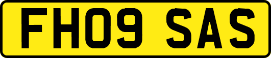 FH09SAS