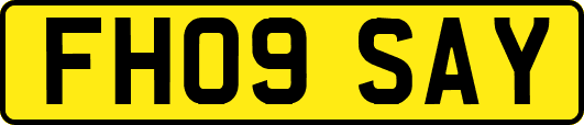 FH09SAY