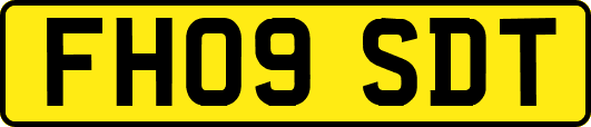 FH09SDT